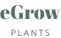 Site Title