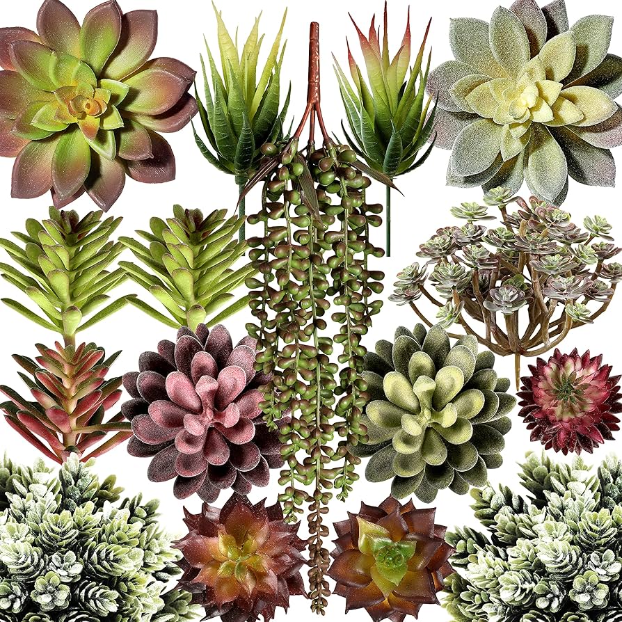 succulent artificial plant wall outdoor